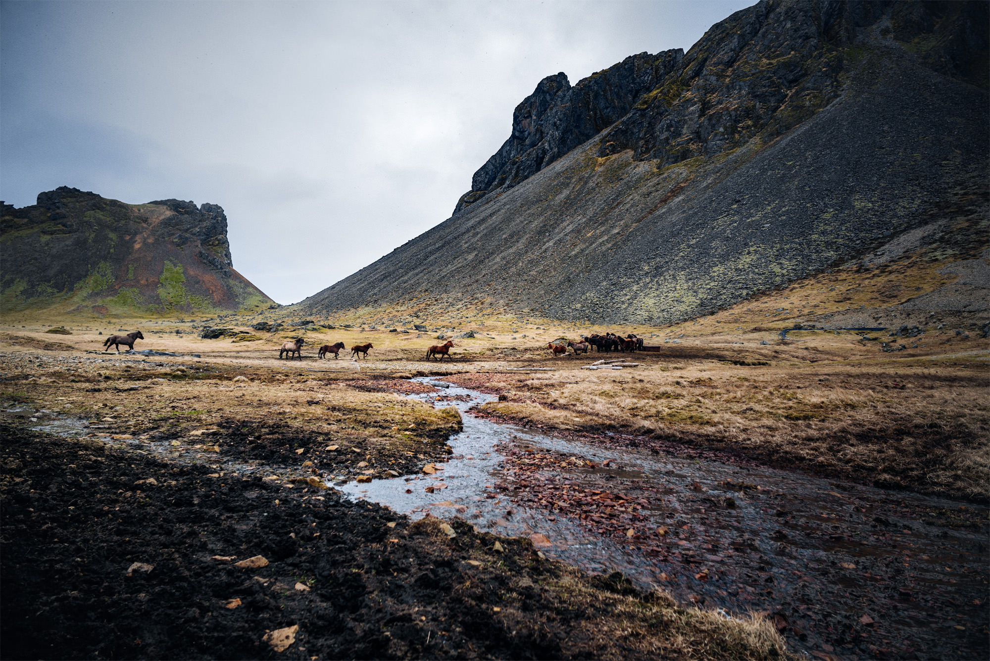 STUDIO PAUL SCHAEFER -  Lifestyle Photographer based in Berlin/Germany